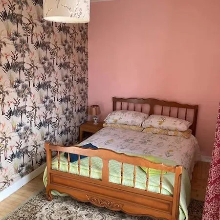 Right On The River- 4 Bedroom House Centre Of Town Aigre