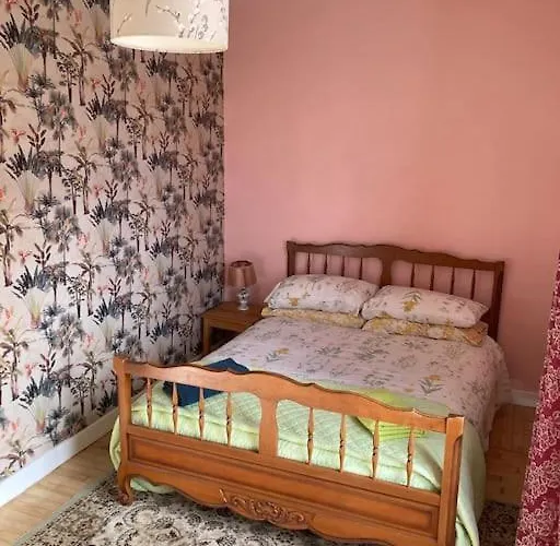 Right On The River- 4 Bedroom House Centre Of Town Aigre